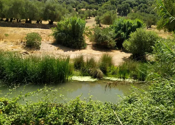 Molino Del Caracol
