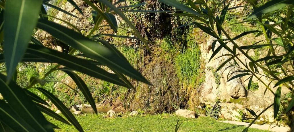 Molino Del Caracol Holiday home Benaojan