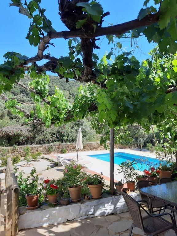 Molino Del Caracol Holiday home Benaojan