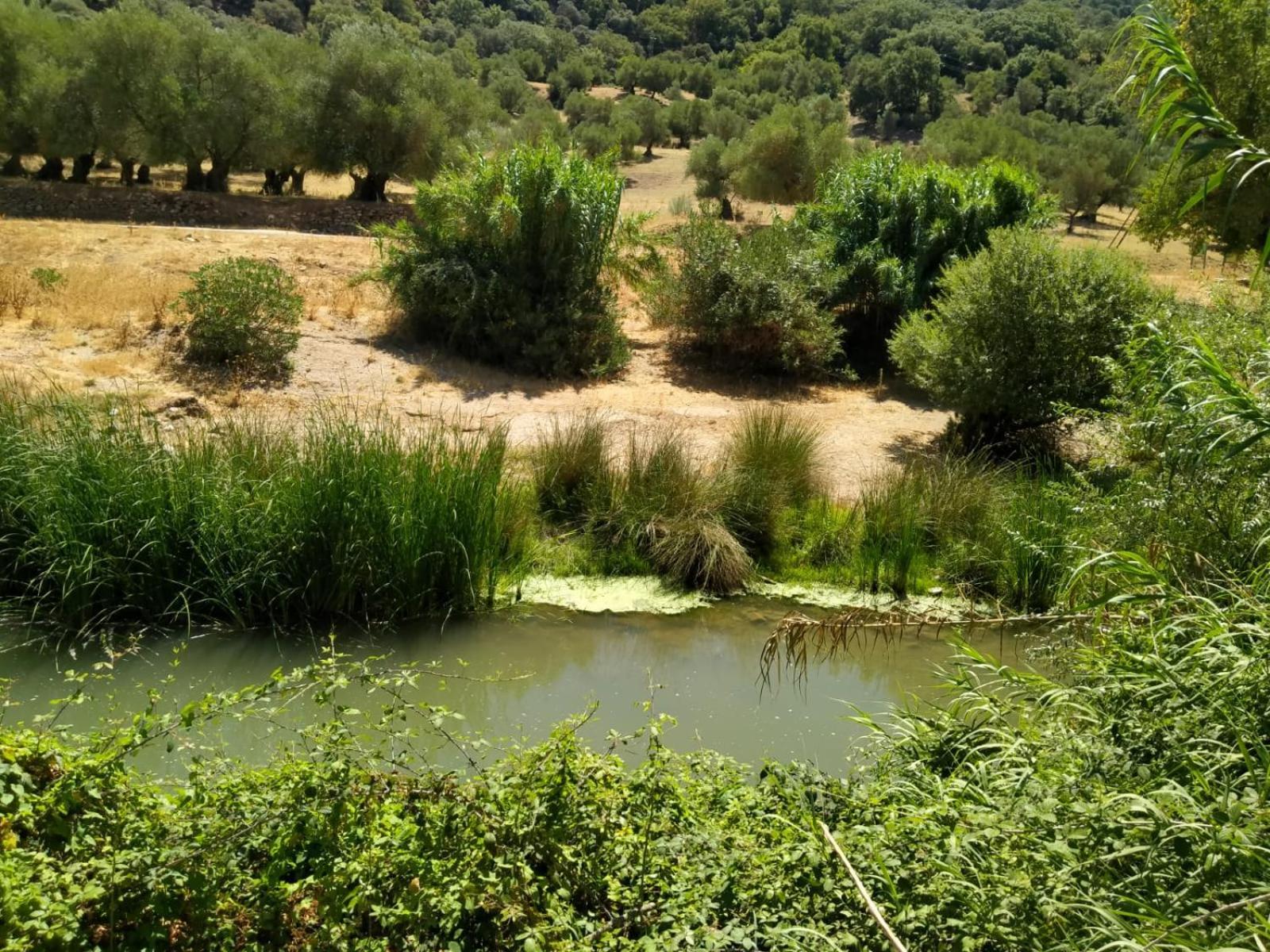Holiday home Molino Del Caracol