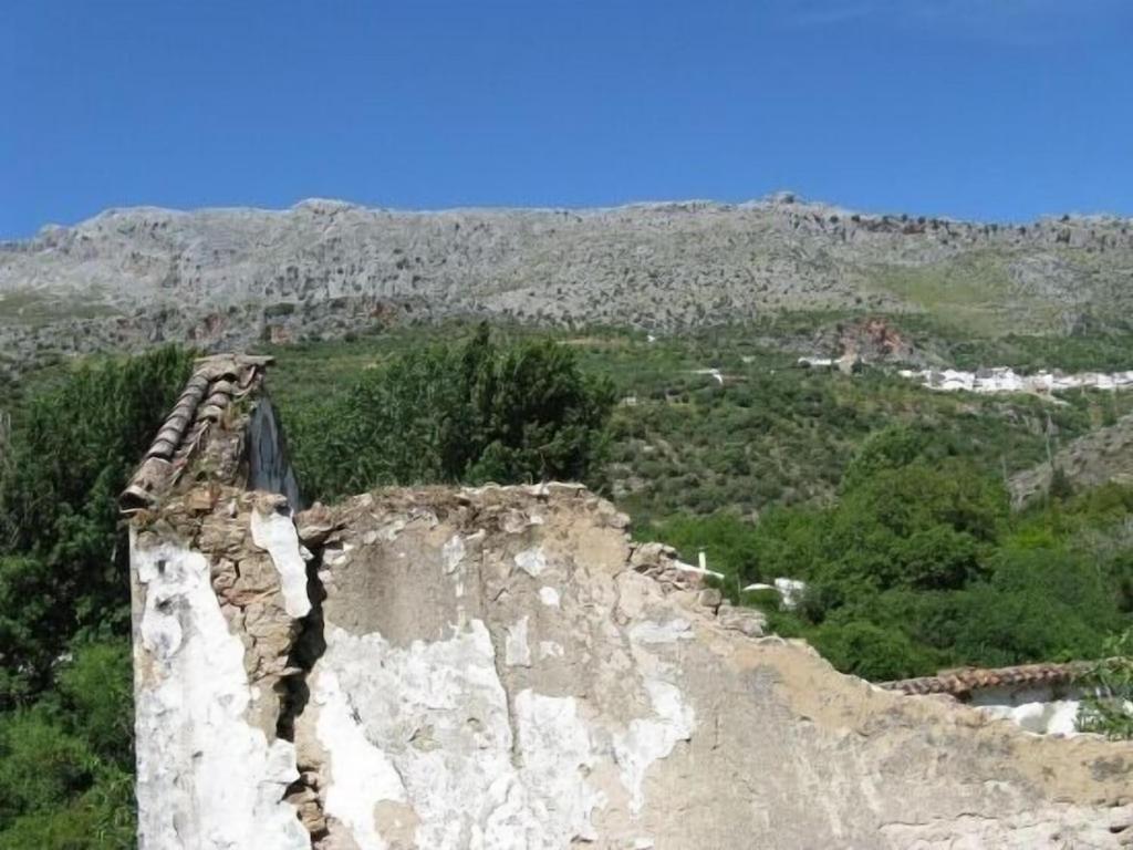 Molino Del Caracol